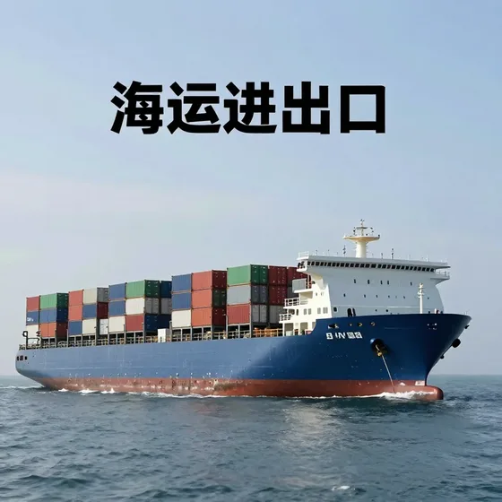 为什么选的海运进出口