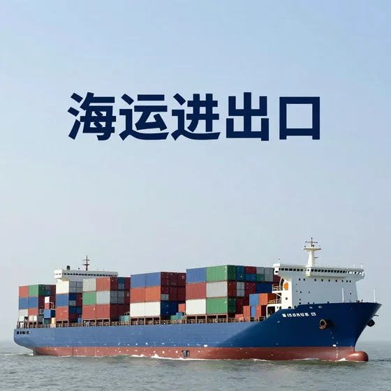 海运进出口哪个牌子靠谱