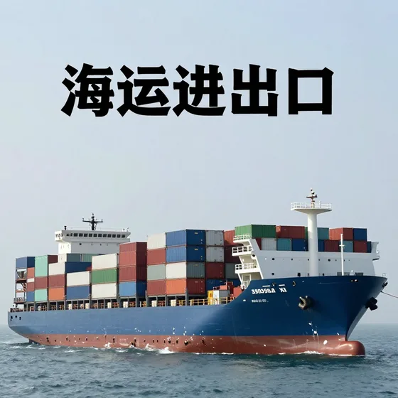 海运进出口专业团队