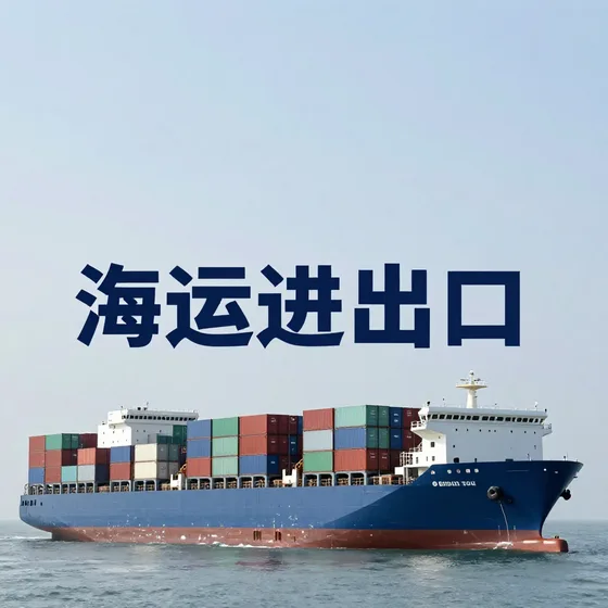 海运进出口
